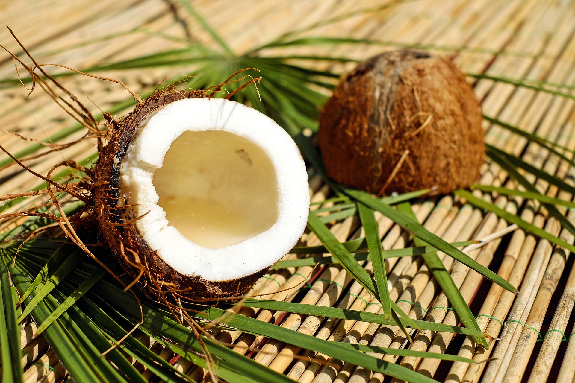 Coconut: The Tropical Treasure Packed with Flavor and Health Benefits