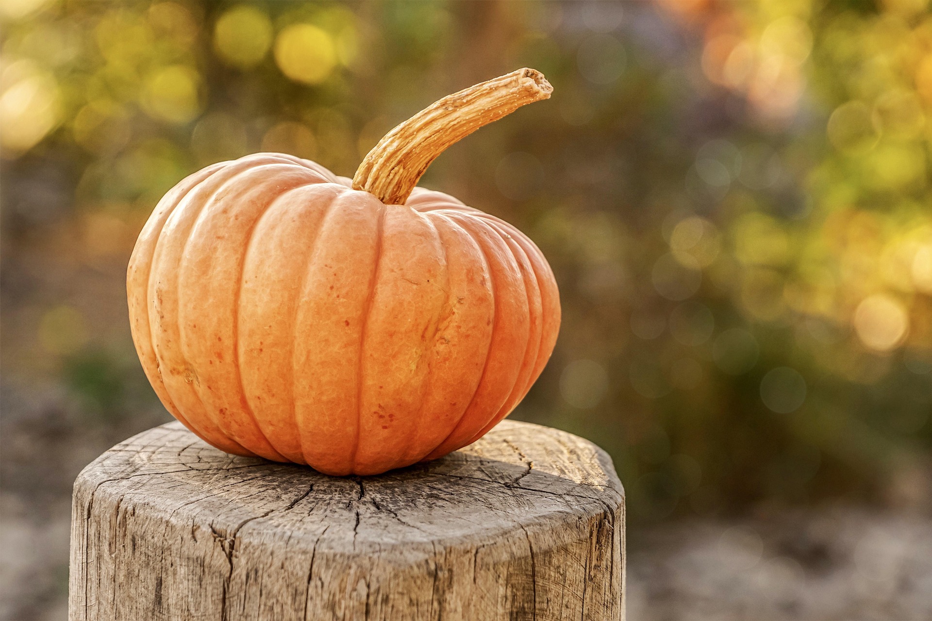 Pumpkin: The Fall Superfood