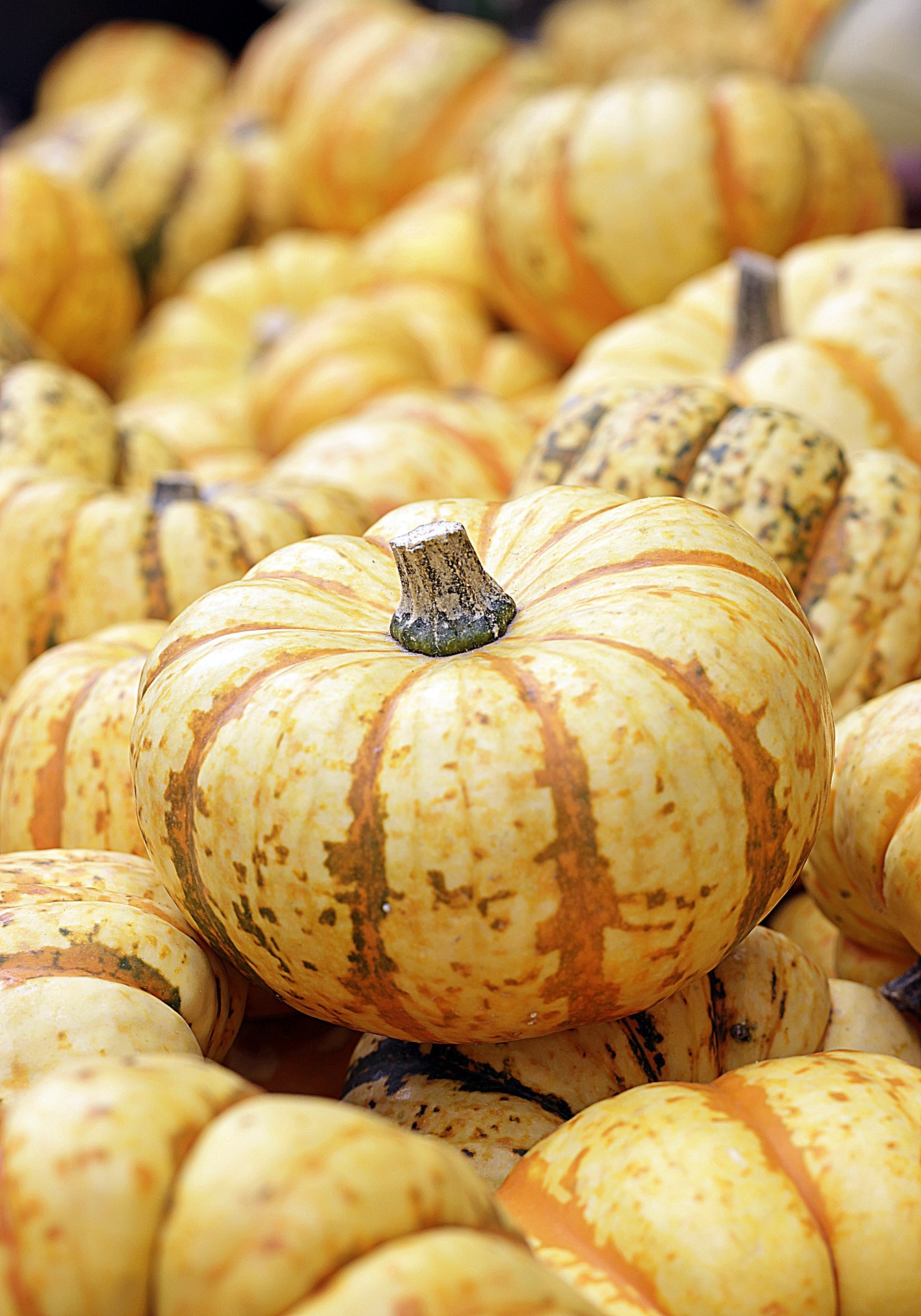 Pumpkin: The Fall Superfood