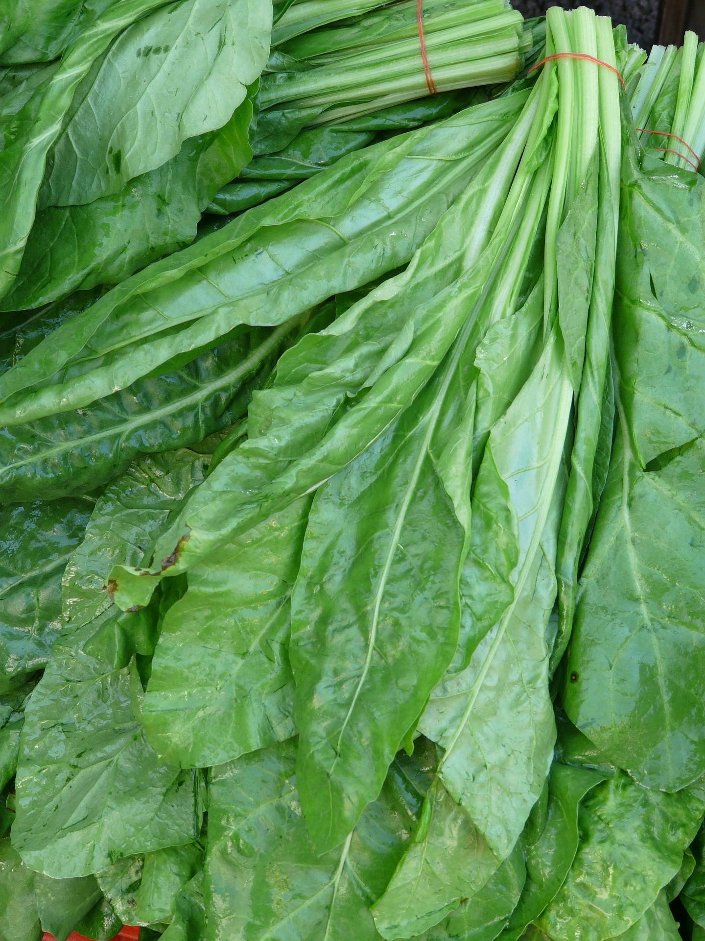 Spinach: The Nutrient-Packed Leafy Green